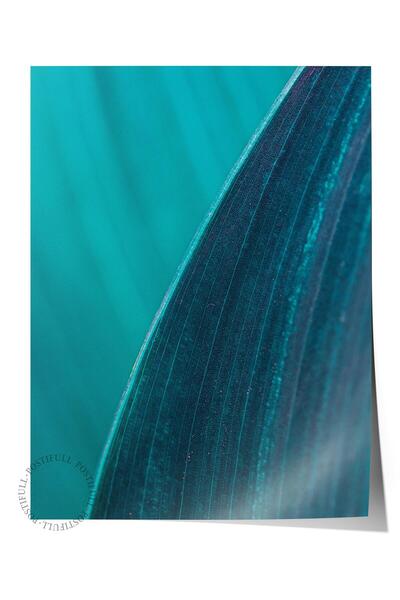 Postifull Poster fără încadrare, tablou botanic și frunze nr. 8, fotografie H...