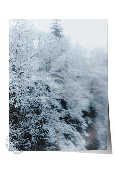 Postifull Çerçevesiz Poster Orman No:50, Fotoğraf Baskısı, Salon, Mutfak, Otu...