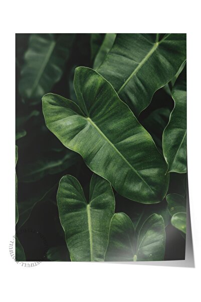 Postifull Çerçevesiz Poster, Botanik & Yaprak Tablo No:41, HD Fotoğraf, Salon...