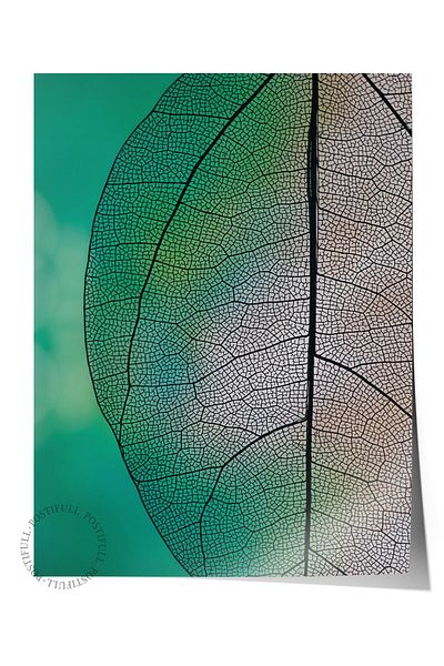 Postifull Frameless Poster, Botanical & Leaf Painting No:39, Hd Photo, Living Room, Kitchen Wall Decor Poster