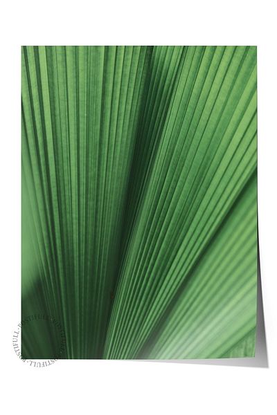 Postifull Poster fără încadrare, pictură botanică și frunze nr. 36, fotografie HD, poster pentru decorarea peretelui pentru sufragerie, bucătărie