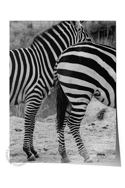 Postifull Frameless Poster, Animals & Safari Painting No:8, Hd Photo, Living Room, Kitchen Wall Decor Poster