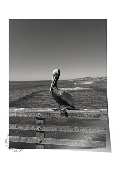 Postifull Çerçevesiz Poster, Siyah & Beyaz Fotoğraf No:4, HD Fotoğraf, Salon,...