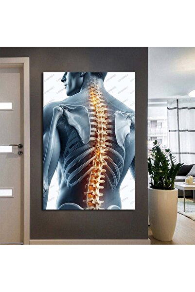 caddeko Fizik Tedavi ve Rehabilitasyon Temalı Dekoratif Kanvas Tablo ftv26