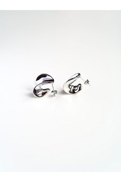 Roosvel Wide Curved Trend Surgical Steel Stud Earrings