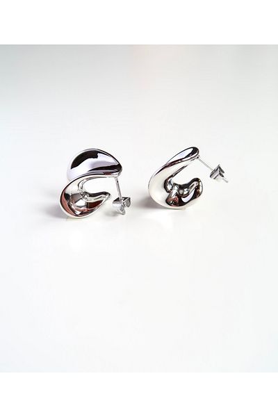 Roosvel Wide Curved Trend Surgical Steel Stud Earrings