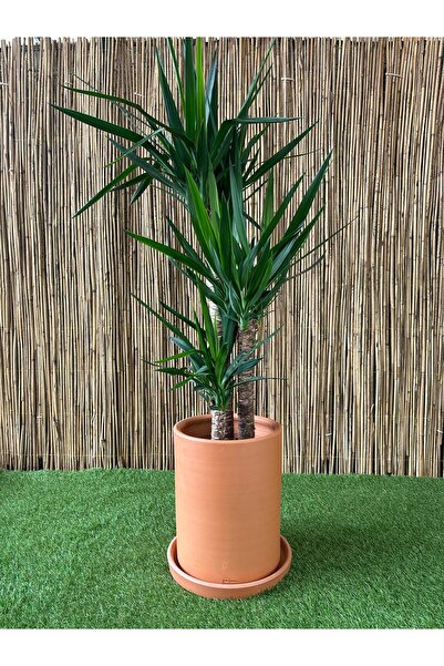 odka Terracotta Çömlek Saksı Tabaklı Silindir Orta Boy 20 Litre Ölçü: Yükseklik 30cm Çap 25cm