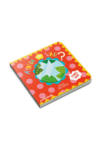 Neobebek Aynada Kim Var? (AYNALI KİTAP)