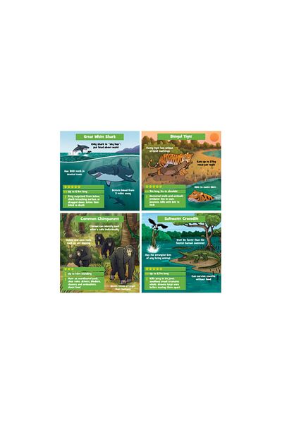 Green Board Games Brainbox 90053 Greenboard - لعبة بطاقة الذاكرة للحيوانات المفترسة (PREDATORS) - إنجليزي