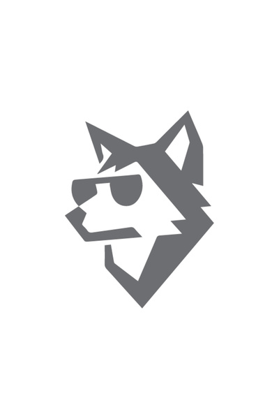 Reysa Tasarım Gray Wolf Head - 17X17 Cm, Glasses Design