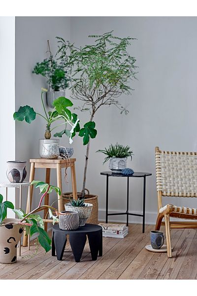 Warm Design كوب مزجج