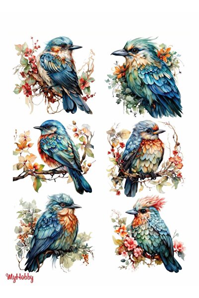 MyHobby Water Transfer Paper Lnt-227 25X35 cm
