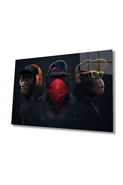 Rosyvien Pictură abstractă din sticlă cu trei maimuțe, animal modern, decor d...