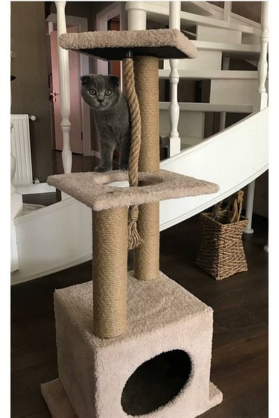 pethomealpi Cat Scratching House and Play Platform