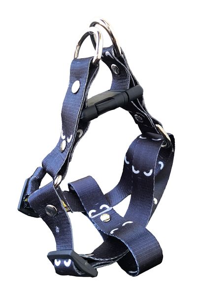 Angelapets New Bugs - Dog Collar and Walking Strap Set