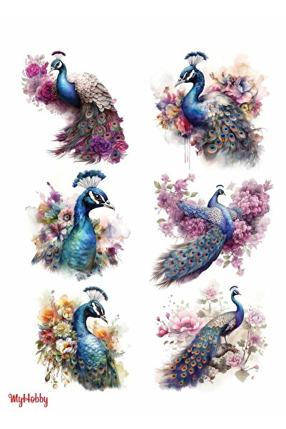 MyHobby ورق نقل مائي مقاس 25x35 سم LNT-214