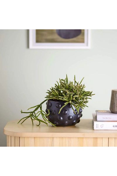 Warm Design Black Flower Pot and Vase - Embossed Design