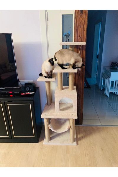 pethomealpi Cat Scratching House and Play Platform