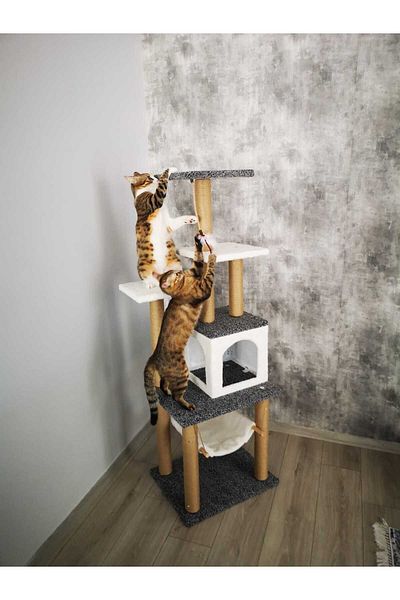 pethomealpi Cat Scratching House and Play Platform