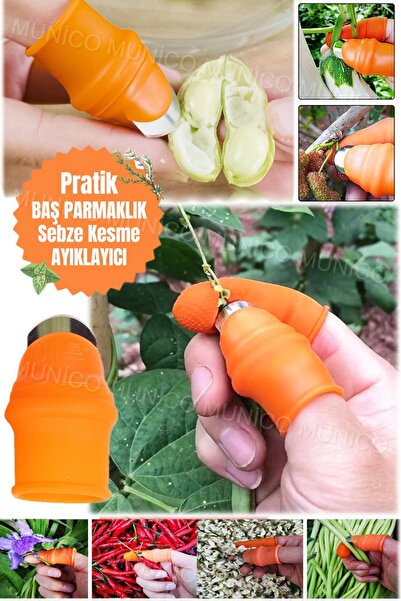 Munico Sebze & Meyve Başparmak Kesici Bahçe Aletleri Budama Makas Bahçe Topla...