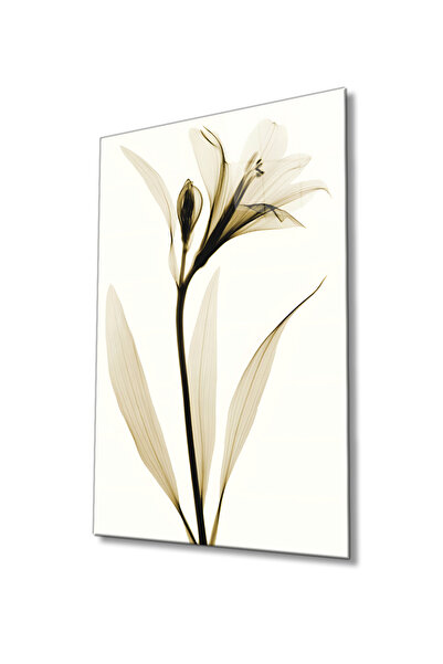 Rosyvien Tablou elegant din sticlă cu raze X cu flori albe, modern, decor de ...