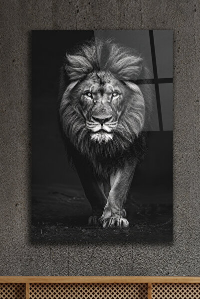 ACRES Aslan Cam Tablo