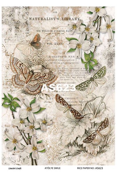 LİNEART Brass Decopage Paper LineArt - LA-AS623