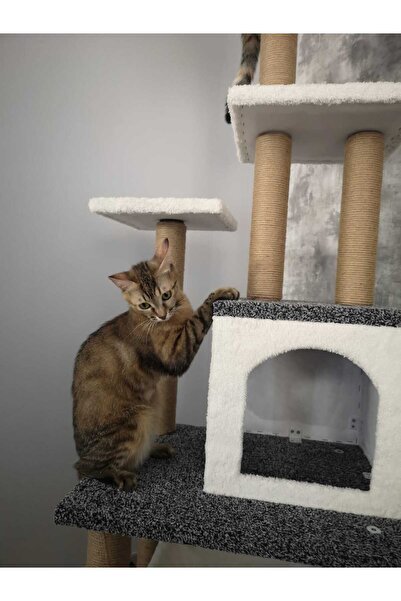 pethomealpi Cat Scratching House and Play Platform