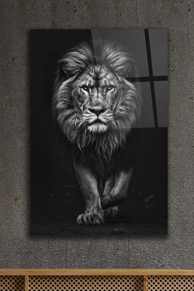 ACRES Aslan Cam Tablo