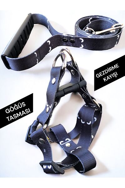 Angelapets New Bugs - Dog Collar and Walking Strap Set