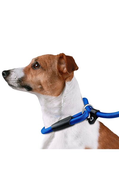 Bobo Köpek Eğitim Tasması Küçük Irk 0.6 Cm Kırmızı