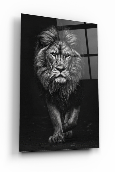 ACRES Aslan Cam Tablo