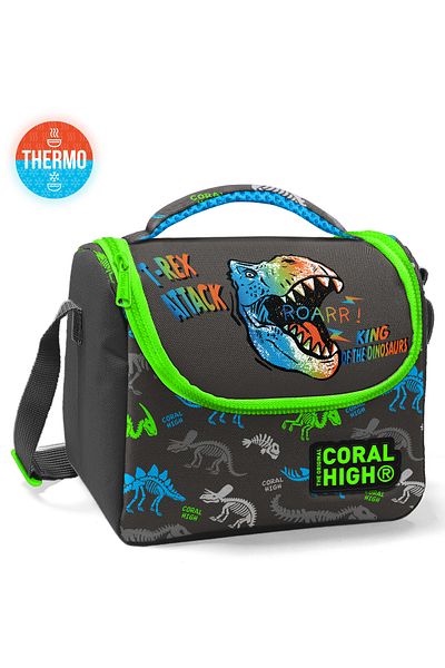 Coral High Kids Gray Dinosaur Patterned Thermo Lunchbox 11864