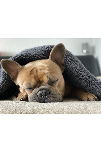 Mislina Home Tiny Wellsoft Baby - Kids Blanket Anthracite 100x150 Cm