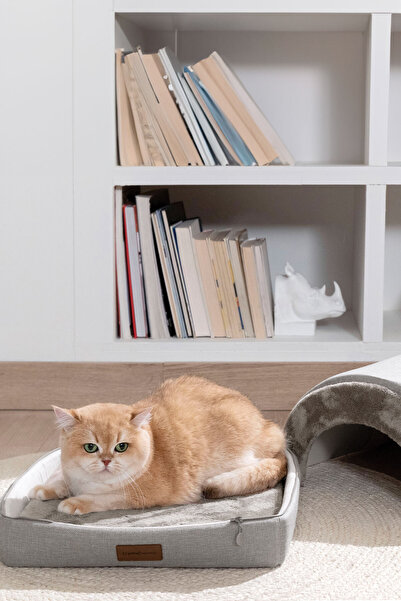 Yataş Snow Kedi & Köpek Yatağı