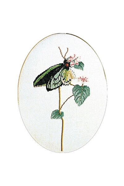 Dmc THEA GOUVERNEUR KANAVİÇE ETAMİN KİTİ 1022