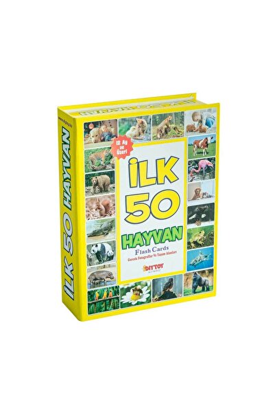 BYR Byrurg 1352 Flash Cards Top 50 Animals -Dıytoy Byrnew