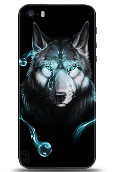 adveksiyon Apple iPhone 5 / 5S Case Hd Printed Case - Followed Institution 0159