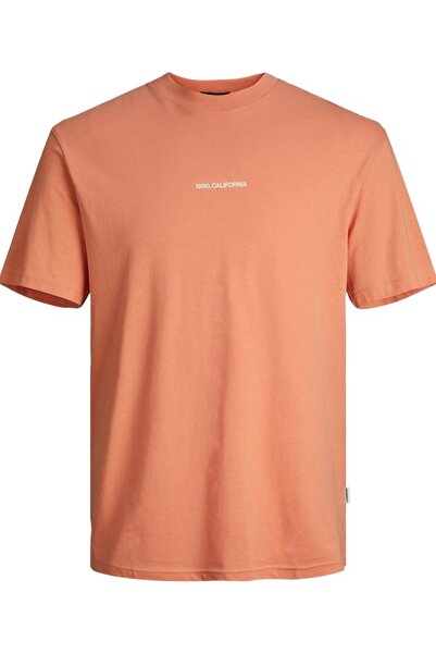 Jack & Jones JACK&JONES JORARUBA LANDSCAPE TEE SS CREW NECK12255525 POWDER