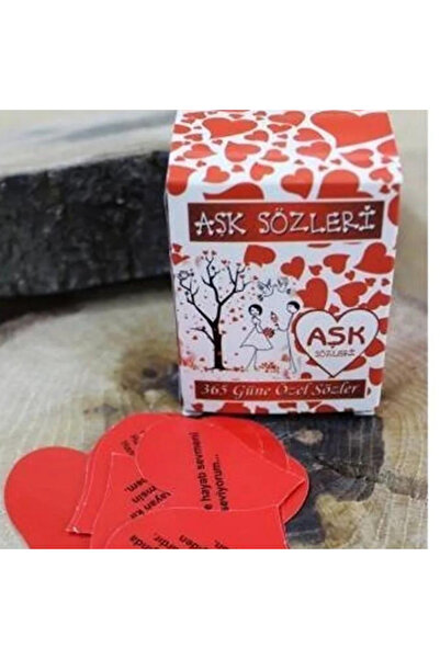 CNGZSHOP Sevgiliye Eşe Hediye Batmayan Titanik Gemisi Aşk Gemisi + 365 GÜN AŞK MESAJ KUTUSU