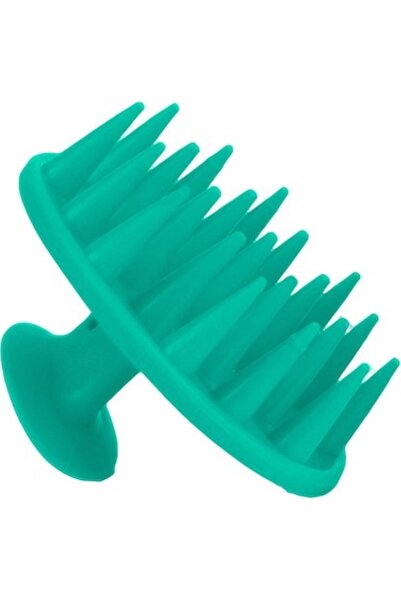 CARNIVAL LAND Βούρτσα περιποίησης μαλλιών, χτένα σαμπουάν για μασάζ του τριχω...