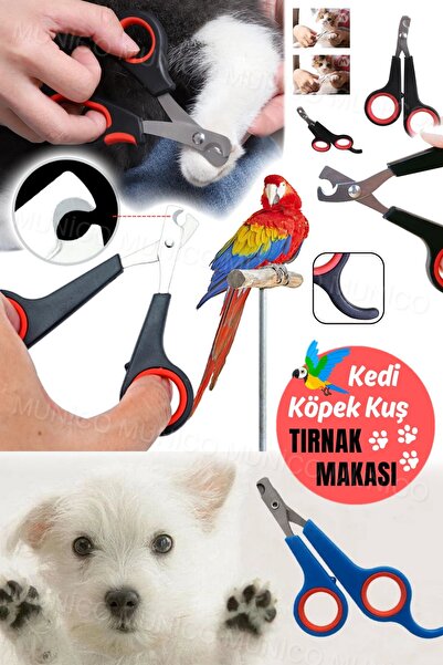 Munico Kuş Papağan & Kedi & Köpek Oval Tırnak Kesme Makası Bakım Pensesi Taşı...