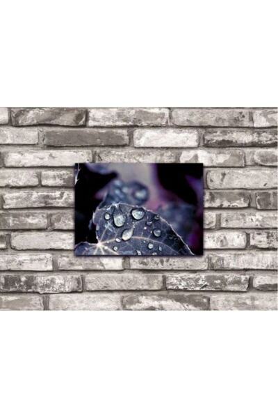 icase Σταγόνα νερού που πέφτει από το φύλλο Ξύλινος πίνακας ζωγραφικής με νερ...