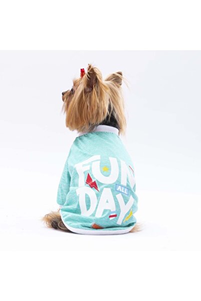 Pawstar Mint Fun Day Küçük Irk Sweat