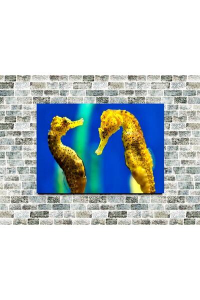 icase Denizatı Seahorse 2 Tablou din lemn de dimensiuni mari