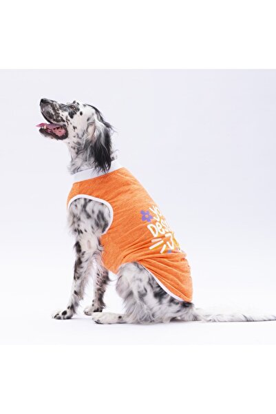 Pawstar Turuncu Joy Büyük Irk T-Shirt