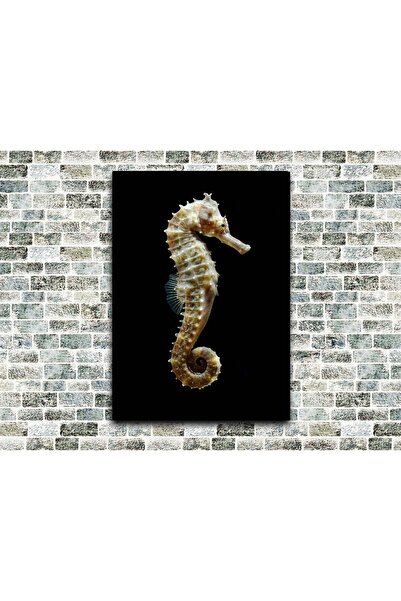 icase Denizatı Seahorse 3 Tablou din lemn de dimensiuni mari