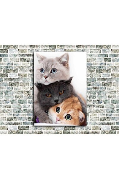 icase Masă din lemn Katatonia