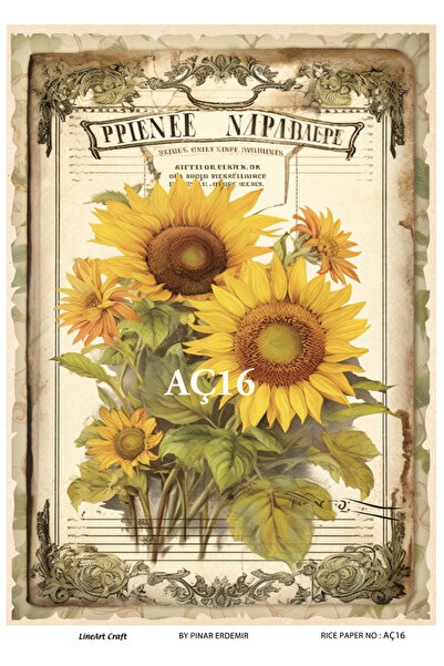 LİNEART Ayçiçeği Serisi AÇ16 Ayçiçek Deseni 30*42 cm Pirinç Dekopaj