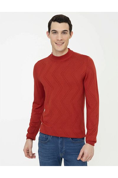 Pierre Cardin Ανδρικό πουλόβερ Slim Fit - Άνετο κόψιμο